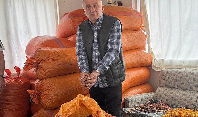 Fiyatın yükselmesini bekleyen üretici fındığını evinde bekletiyor