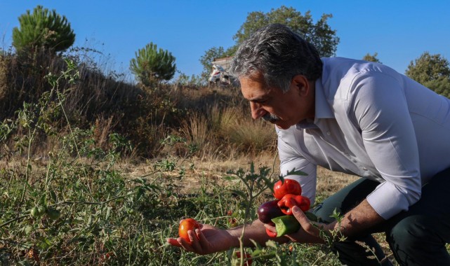 Gemlik Belediyesi Ata Tohumlarını Geleceğe Taşıyor