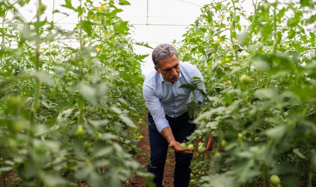 Gemlik Belediyesi Serasında yetişen ürünler Halk Büfe’lerde satışta