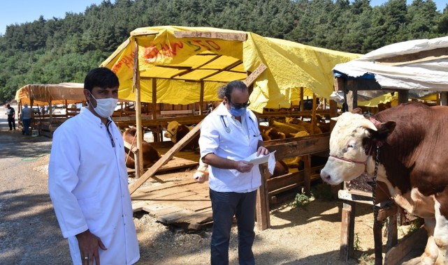 Gemlik'te Kurban Bayramı hazırlıkları tamamlandı
