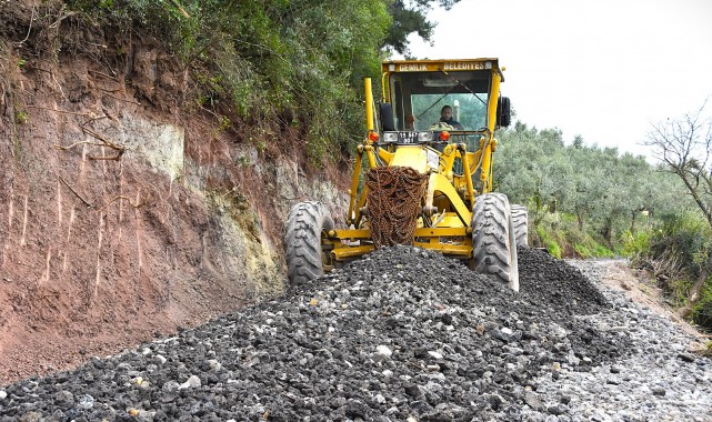 Gemlik'te Patili Canlar Yeni Yuvalarına Kavuşuyor