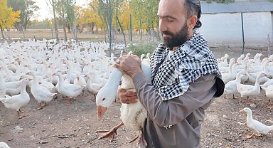 Islık sesiyle yüzlerce kanatlı hayvanı etrafına topluyor