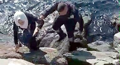 İstanbul - Avcılar sahilinde kayalıkların arasına düşen kadını güvenlik görevlisi kurtardı