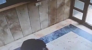 İstanbul - Başakşehir'de kediye işkence davasında karar: 3 yıl 8 ay hapis cezası - 1