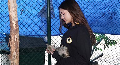 İstanbul - Demirören Medya ve Teknoloji MTAL öğrencilerinden sokak hayvanlarına mama desteği