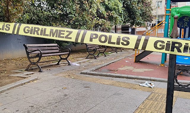 İstanbul - Gaziosmanpaşa'da parkta silahlı saldırı: 17 yaşındaki genç yaralandı