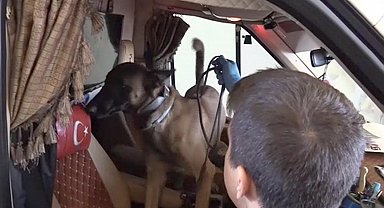 Kamyonetteki 36 kilo kokaini 'Alfa' buldu; sürücüye gözaltı