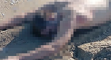 Karasu'da kumsalda çıplak erkek cesedi bulundu