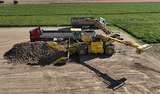 Kayseri'de şeker pancarı hasadı başladı