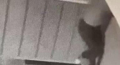 Kent dışından gelip keşfe çıkan hırsız, 2 evden 70 bin değerinde eşya çalmış