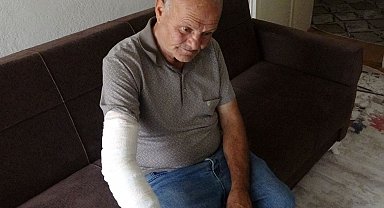 Kolunu ısıran köpeğe mama bırakıp, hastaneye giden taksici: Hayvan sevgimden vazgeçmem