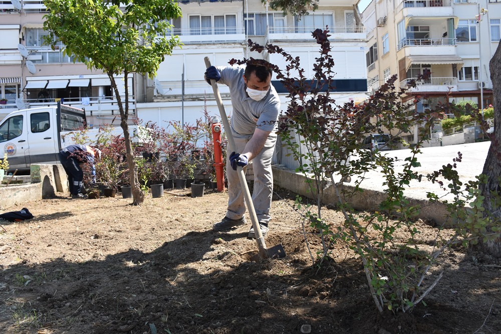 Kumla’da yeşil alanlar bakıma alındı