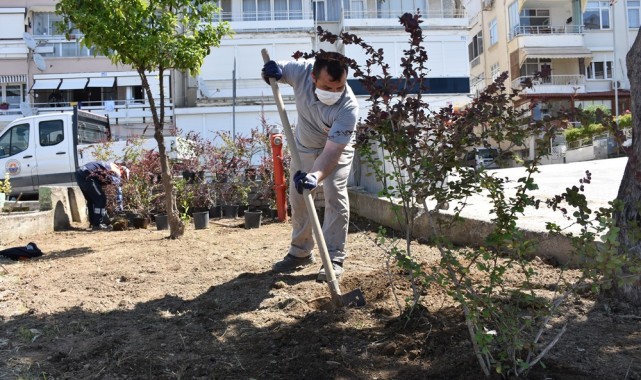 Kumla’da yeşil alanlar bakıma alındı