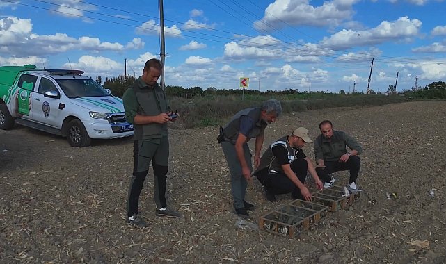 Kuş kaçakçısı suçüstü yakalandı; 247 saka kuşu kurtarıldı