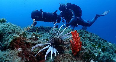 Kuşadası'nın sualtı dünyası, dalış tutkunlarının gözdesi oldu