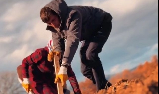 Lavanta Dikimimiz Başladı