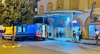 Mardin'de otomobilin çarptığı eşek ile üzerindeki kişi yaralandı