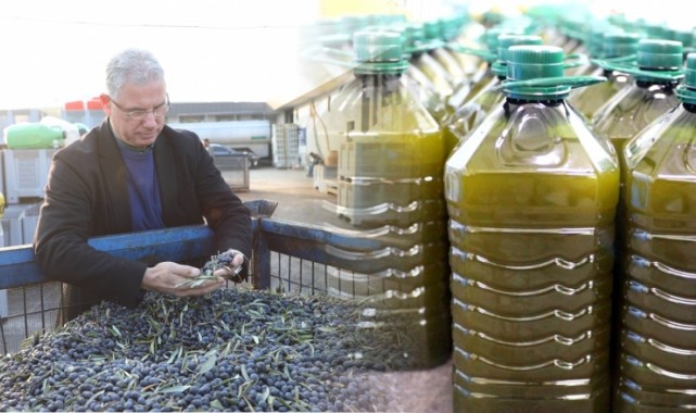 Mudanya Belediyesi Zeytinde Kendi Markasını Yaratacak