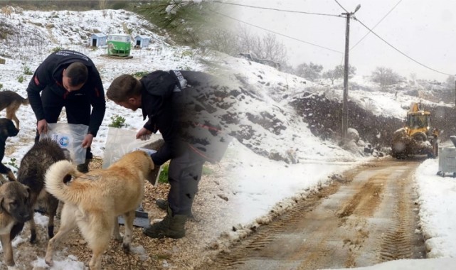 Mudanya Belediyesi’nden Kar Mesaisi
