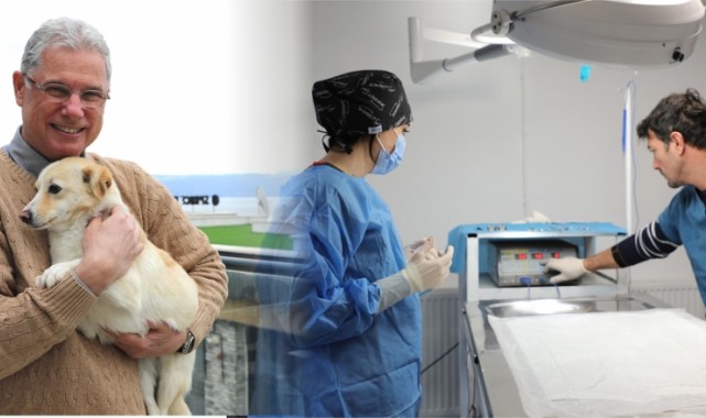 Mudanya Belediyesi’nden Sahipsiz Hayvanlara Şefkat Eli