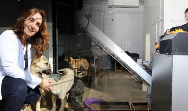 Mudanya’da Can Dostlar Aç Kalmıyor