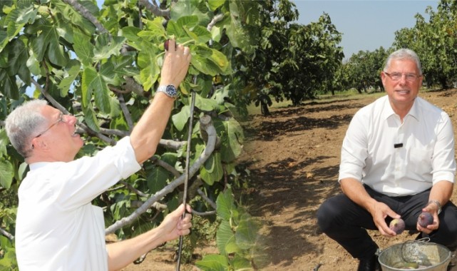 Mudanyalı Üreticilere Çifte Müjde!