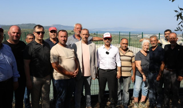 Ölümsüz ağaç suya kavuştu