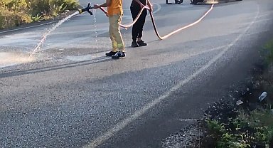 Osmaniye'de otomobildeki yangın, ormana sıçramadan söndürüldü