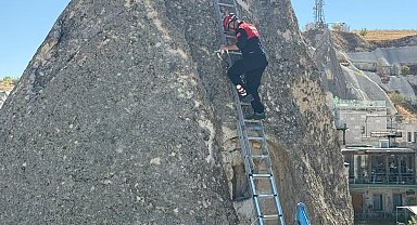 Peribacasında mahsur kalan kediyi itfaiye kurtardı