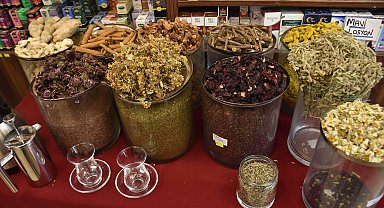 Prof. Dr. Şener: Kış çaylarında toksin riski var