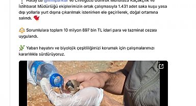 Saka kuşu kaçakçılığına 10 milyon 897 bin lira ceza