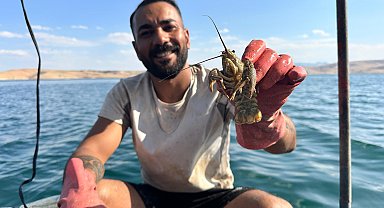 Şehrin stres ve kalabalığından sıkılıp köyüne döndü, tatlı su ıstakozu avına başladı