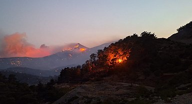 Silifke'deki orman yangınına ilişkin 4'ü tutuklu 7 sanık hakim karşısında