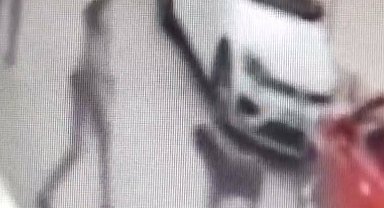 Sokak köpeğine kemerle vuran şüpheli gözaltında