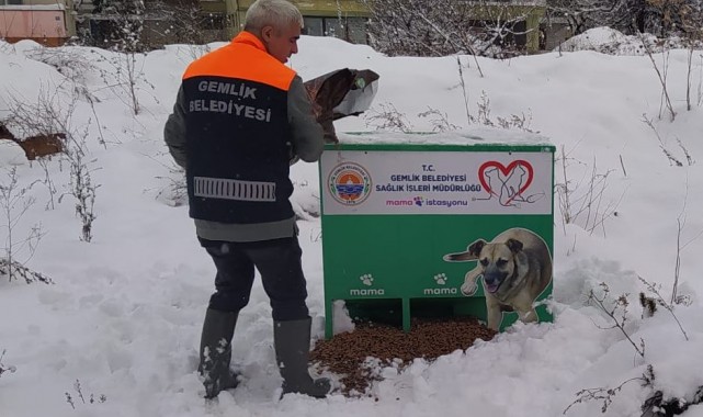 Sokaktaki canlar sahipsiz kalmadı