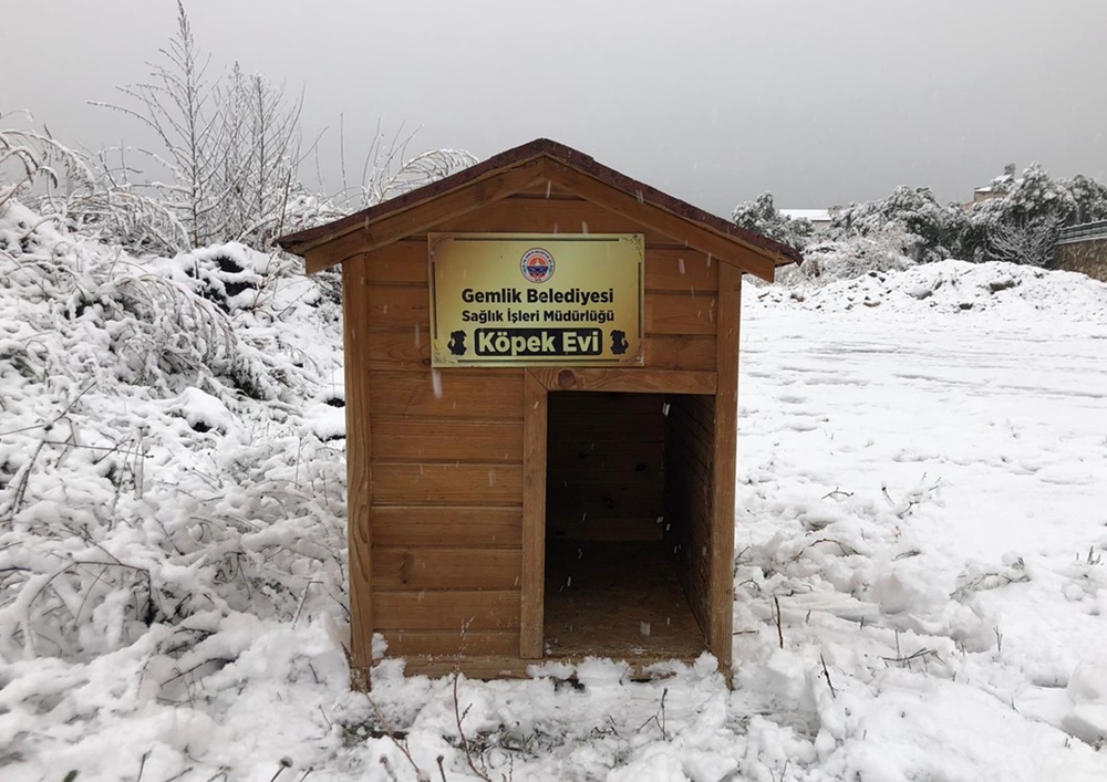 Sokaktaki canlar soğuktan korunuyor
