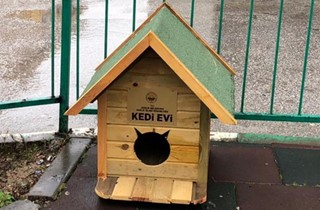 Sokaktaki canlar soğuktan korunuyor