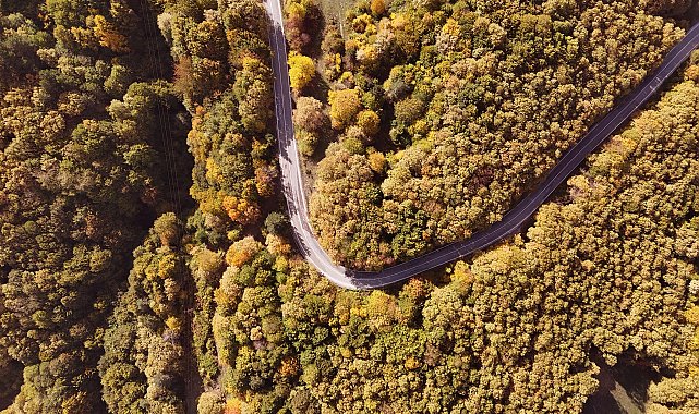 Sonbahar renkleri ormanlarda eşsiz manzara oluşturdu