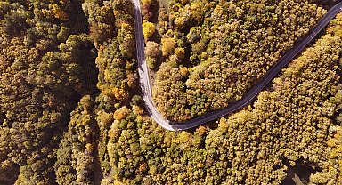 Sonbahar renkleri ormanlarda eşsiz manzara oluşturdu