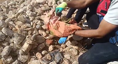 Tarlada taş ve tezek yığını arasına gizlenen silah ve uyuşturucu ele geçirildi: 12 gözaltı