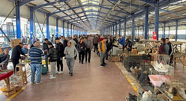 Tekirdağ'da açılan güvercin pazarı, aileler ve çocukların ilgi odağı oldu