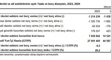 TÜİK: Devlet açığının GSYH'ye oranı 2024 yılında azaldı