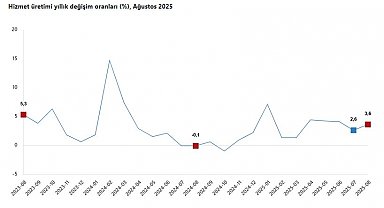 TÜİK: Hizmet üretimi ağustosta arttı