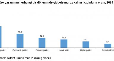 TÜİK: Kadınların yüzde 12,8'i fiziksel şiddete uğradı