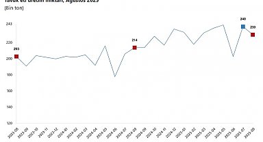 TÜİK: Tavuk eti üretimi azaldı, yumurta ve süt üretimi arttı