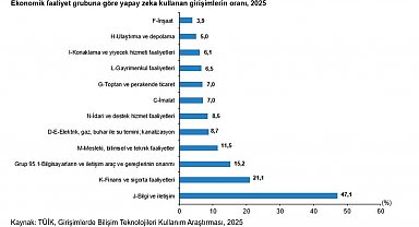 TÜİK: Yapay zeka teknolojileri kullanan girişim oranı arttı