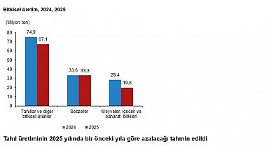 TÜİK'in bitkisel üretim tahmini yayımlandı