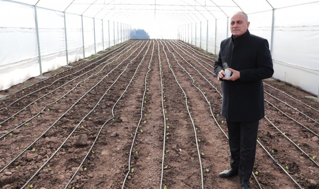 Ucuz sebzeler Gemlik Belediyesi’nden