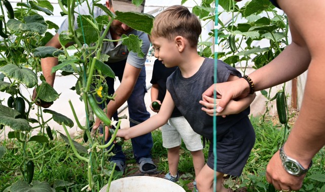 Uğur Böcekleri Doğayla Buluştu