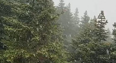 Uludağ'a kar yağdı